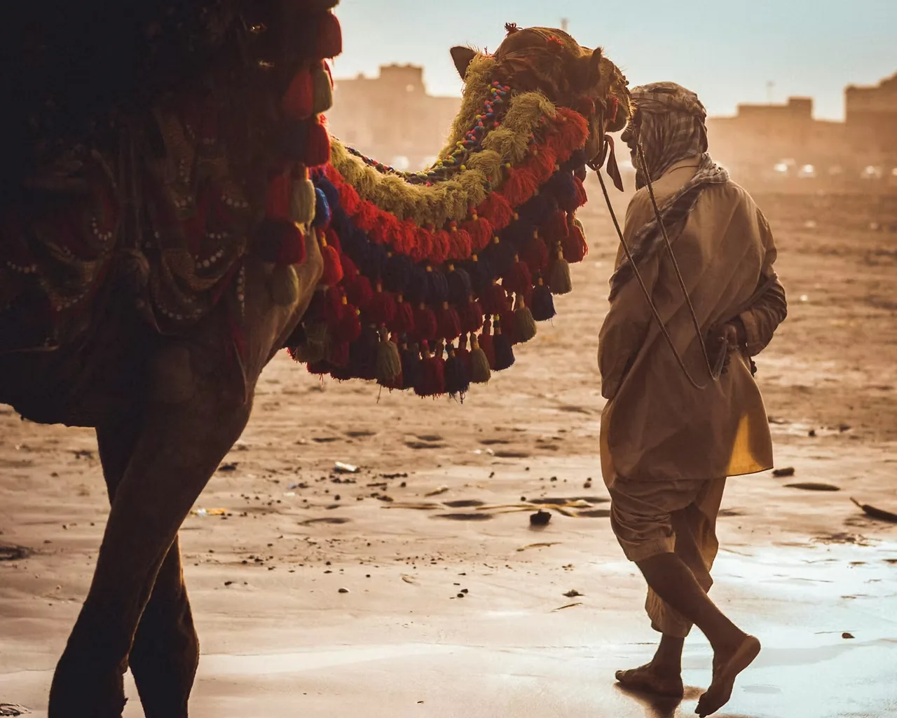 Camel and handler walking through the desert