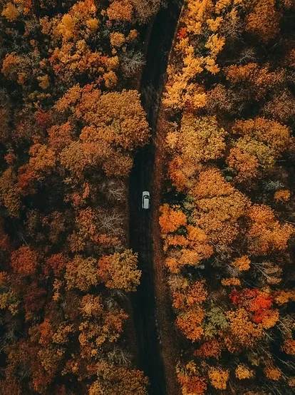 Road through an autumn forest seen from above