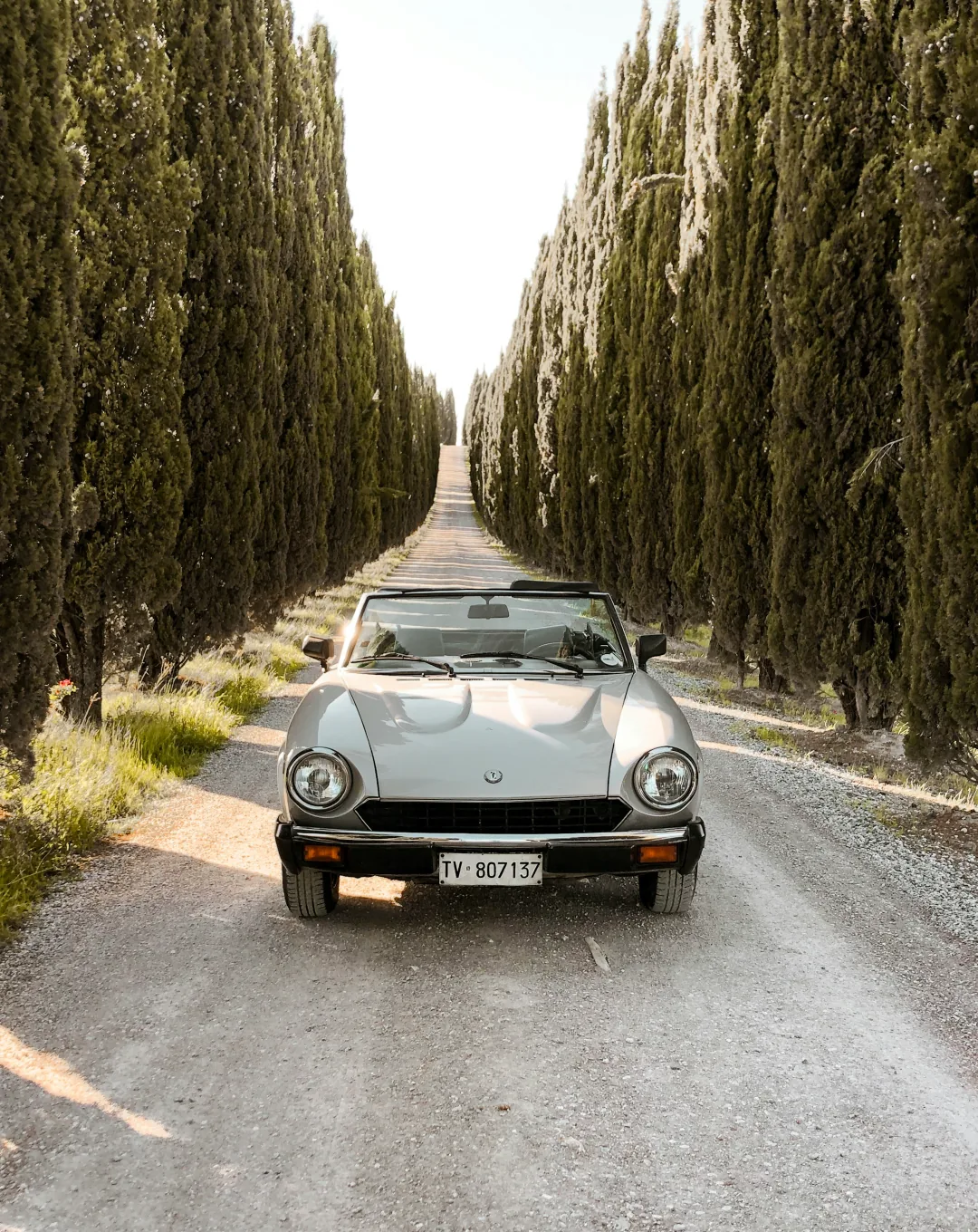 Vintage car on a cypress-lined road in Tuscany