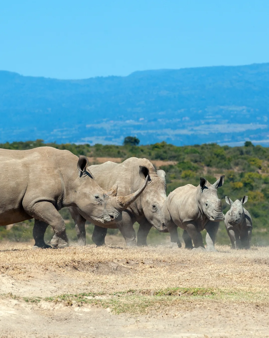 Places to go in Kenya