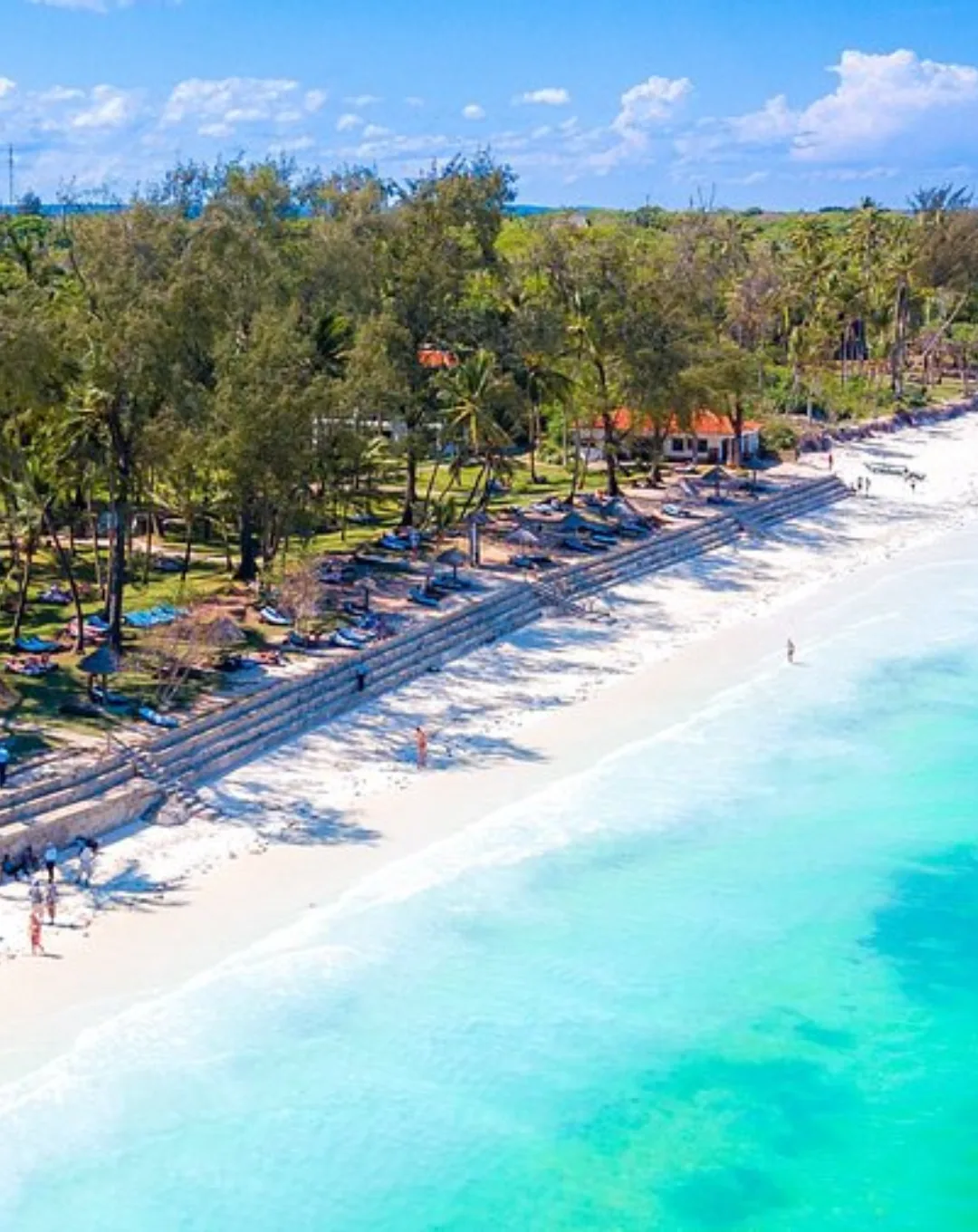 Aerial view of a palm-lined beach and turquoise sea in Kenya