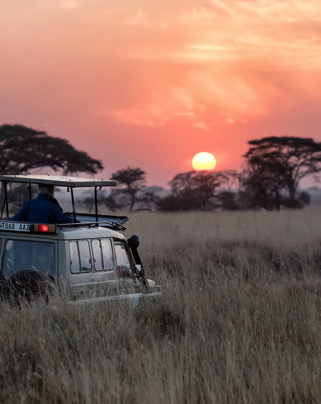 Game drive at sunset on the Serengeti