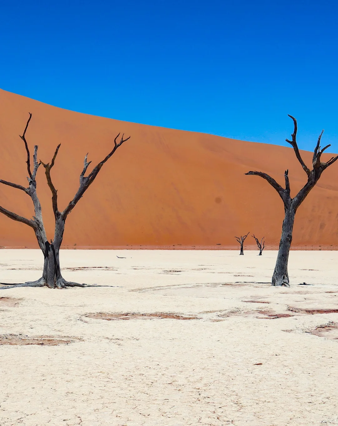 Namibia