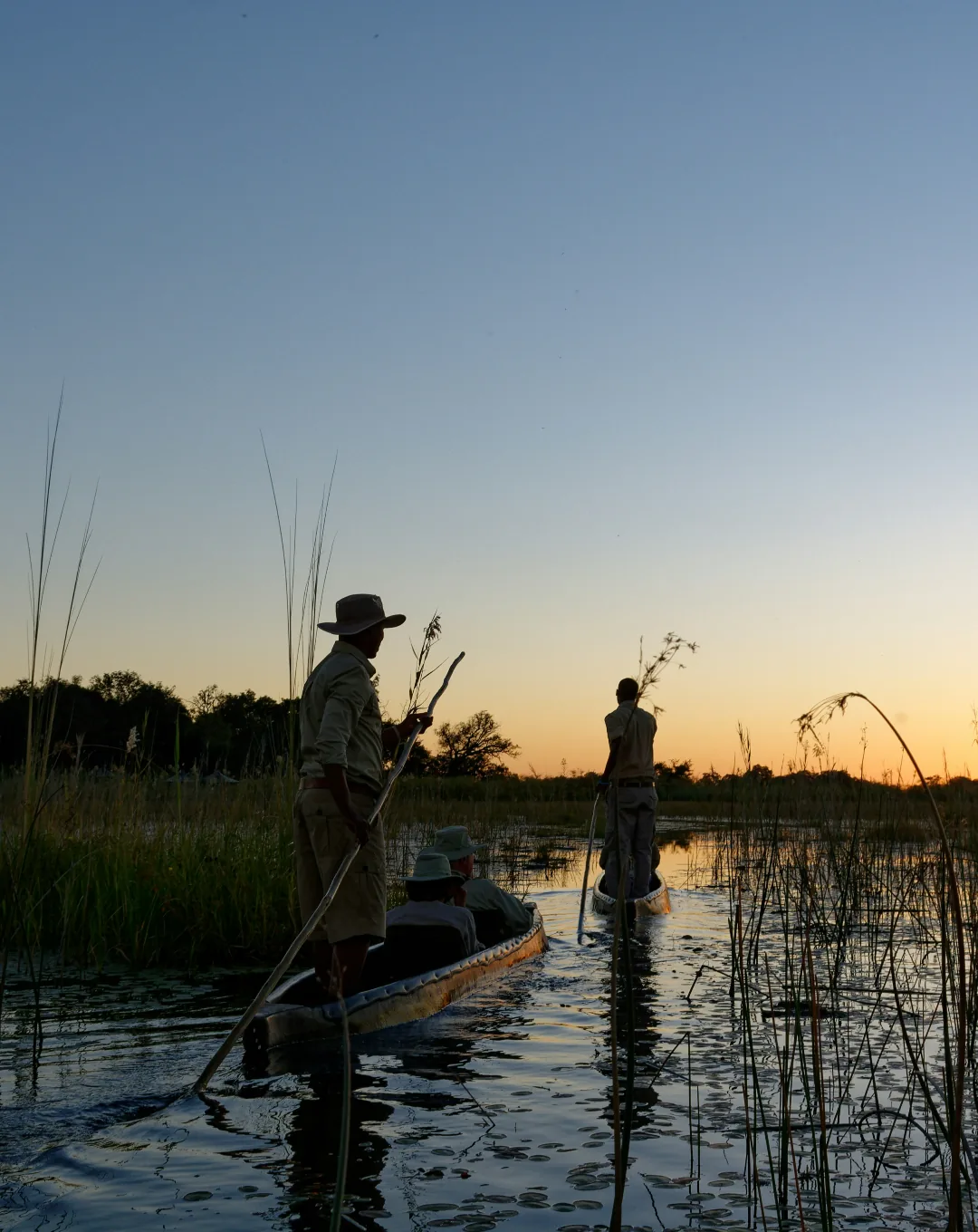 Mokoro canoe on the Okavango Delta at dusk