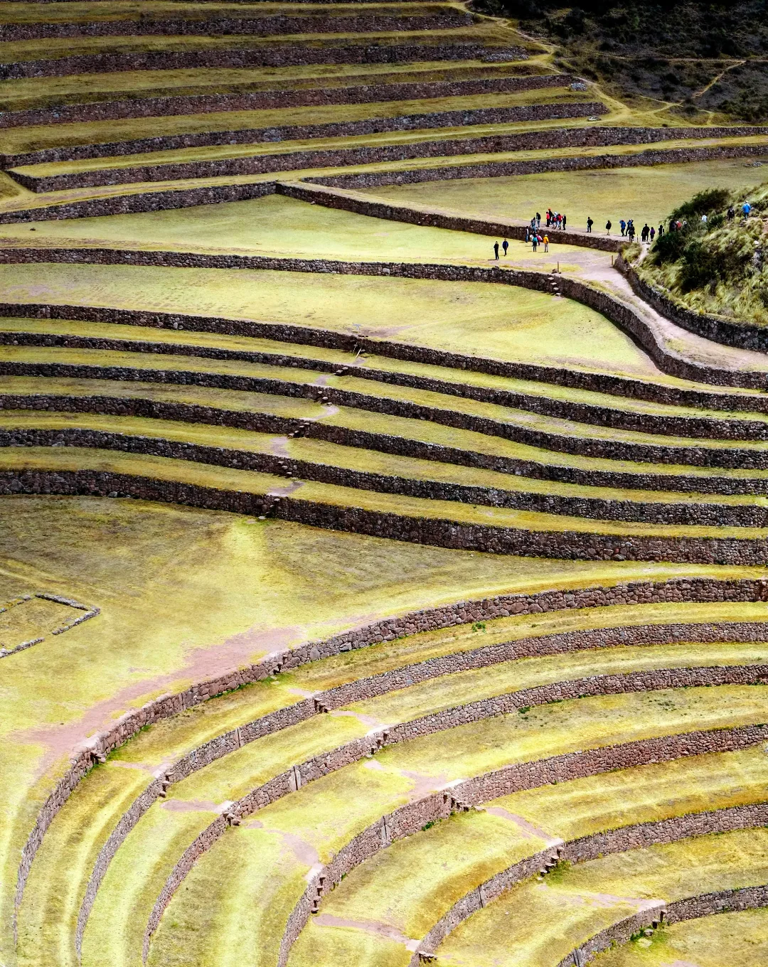 Circular Inca terraces at Moray in the Sacred Valley