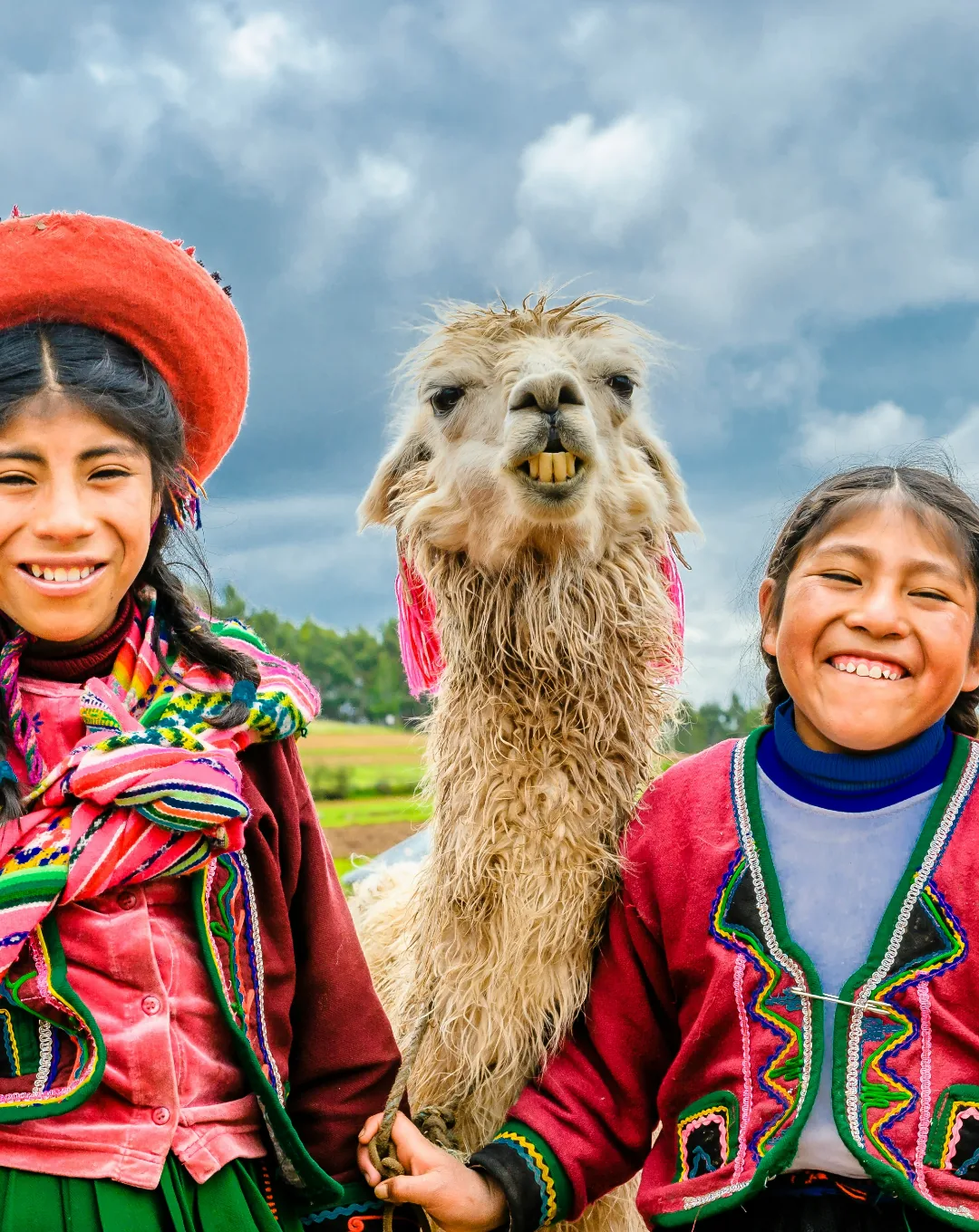 Girls in traditional Andean dress with an alpaca