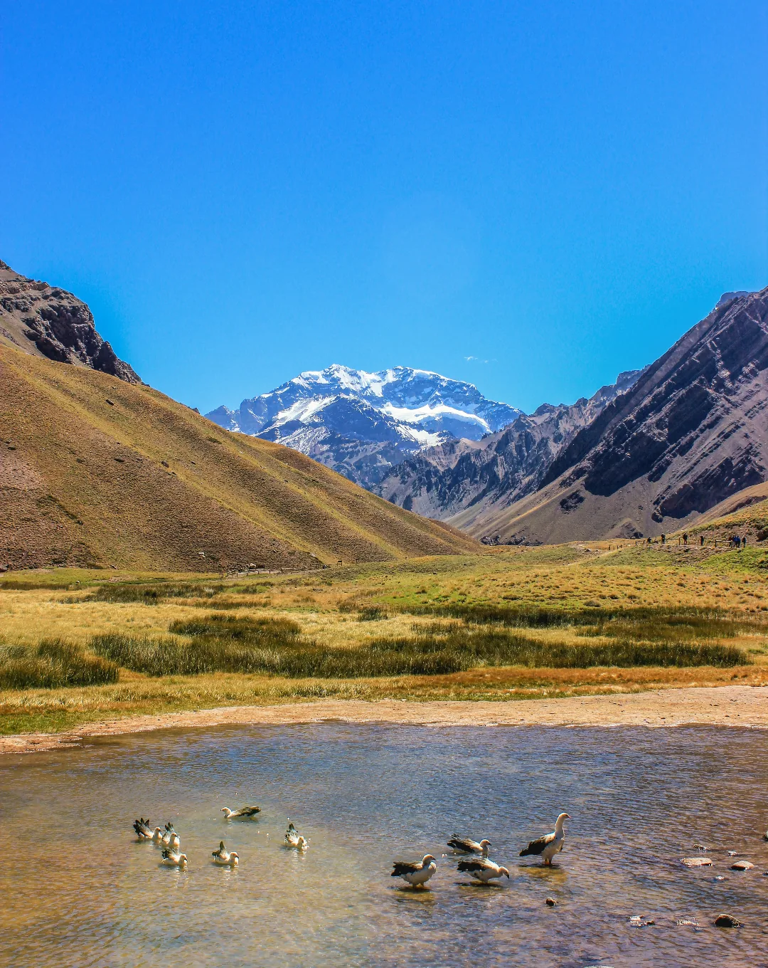 Andean valley and lake below snow-capped peaks