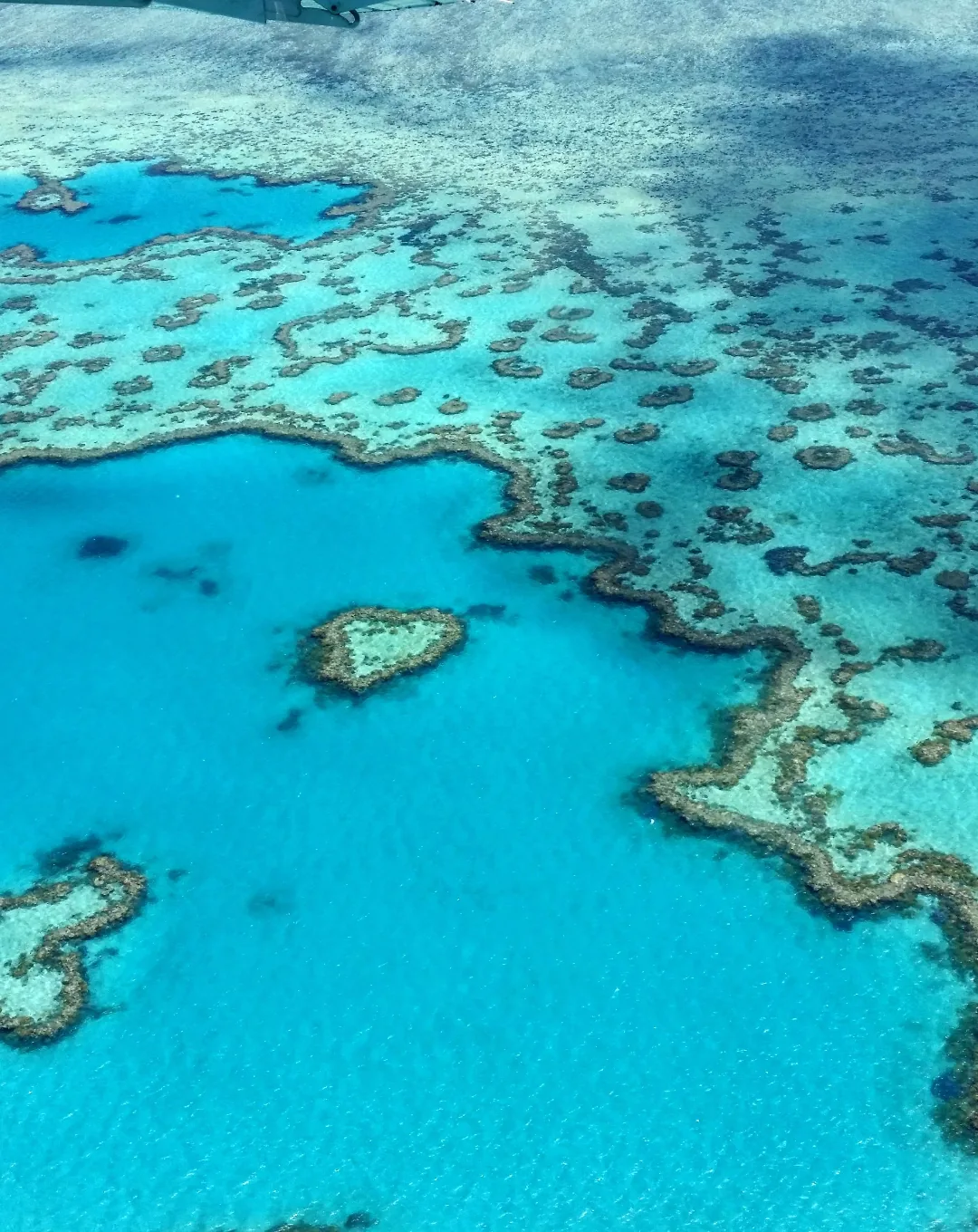 Heart-shaped reef in the Great Barrier Reef from above