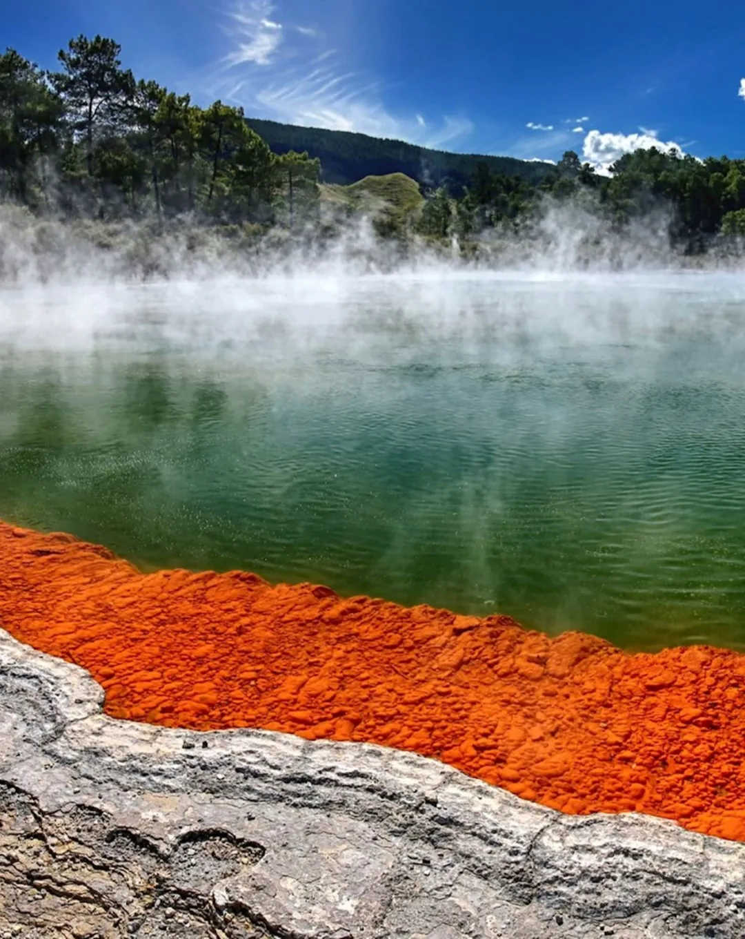 Steaming Champagne Pool at Wai-O-Tapu