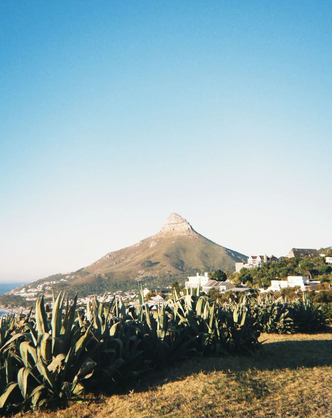 Mountain above coastal fynbos near Cape Town