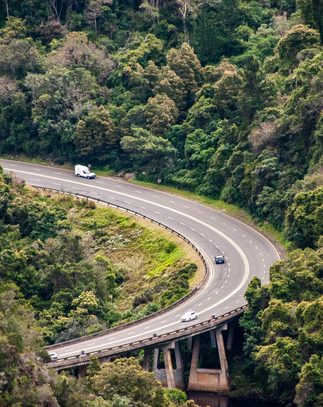 Winding mountain road through forest on the Garden Route