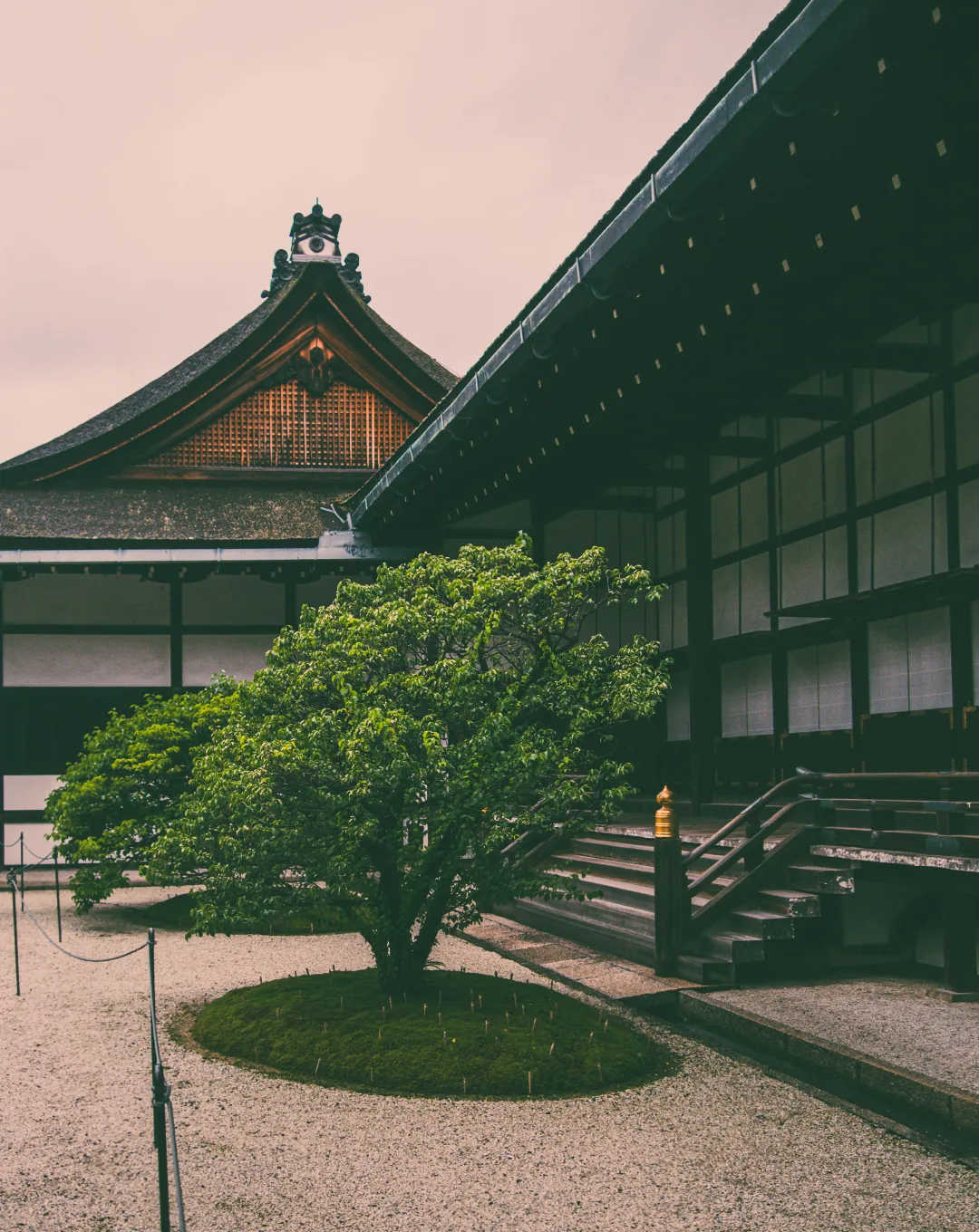 Traditional wooden temple hall and pine garden in Japan