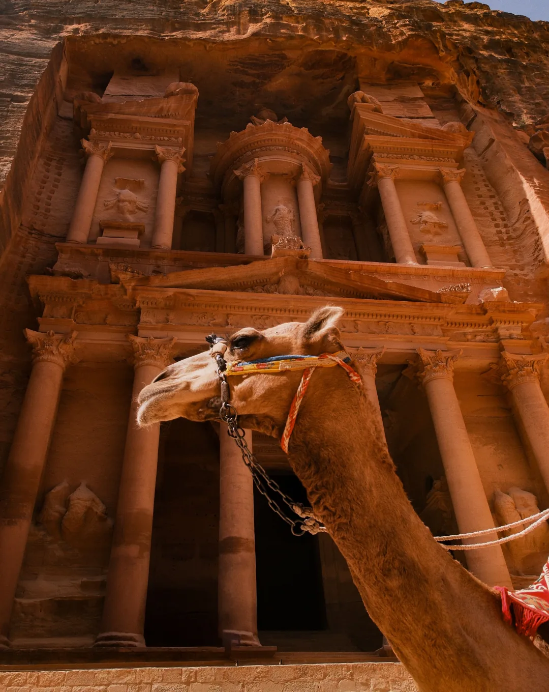 Camel before the Treasury at Petra